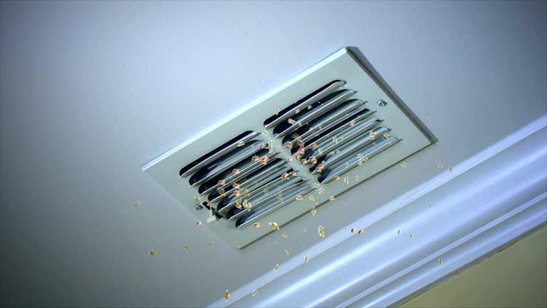 Best Dryer Vent Cleaning Services  in Fkville, AL