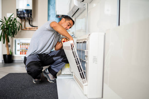 Best Local Air Duct Cleaning Services  in Fkville, AL