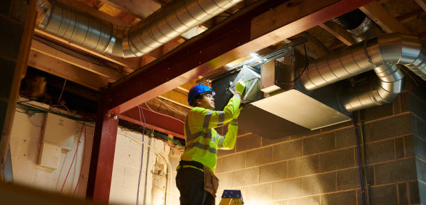 Best Dryer Vent Cleaning Services  in Fkville, AL