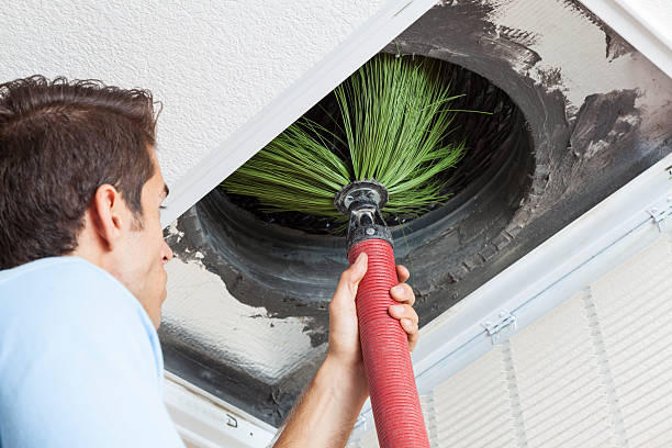 Best HVAC Air Duct Cleaning  in Fkville, AL