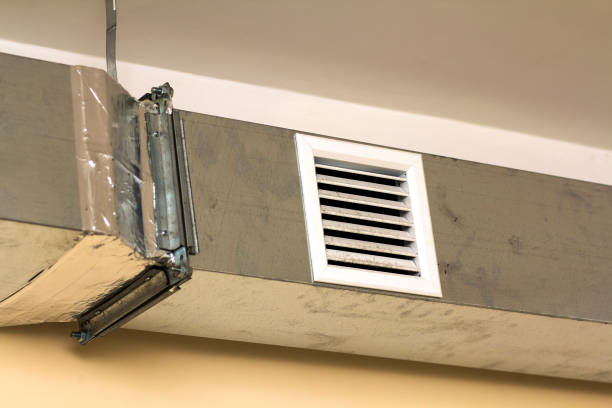 Best Residential Air Duct Cleaning  in Fkville, AL